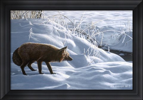 Framed Winter Stalk Print