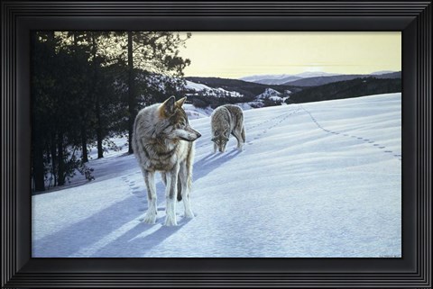 Framed At End Of Day- Wolves Print