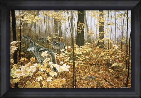 Framed Autumn Maples - Wolves Print