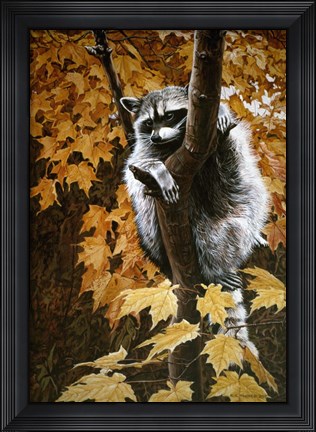 Framed Up A Tree Print