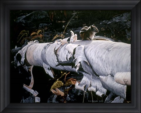 Framed Birch Log Print