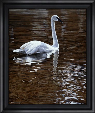 Framed Evening Amber Print