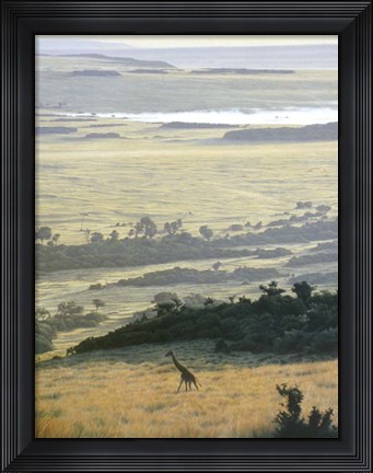 Framed Morning On The Mara Print