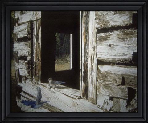 Framed Bluebirds Print