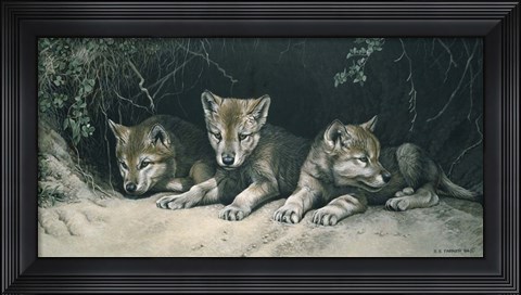 Framed Three Little Wolves Print