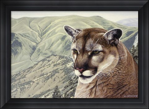 Framed High Country Print