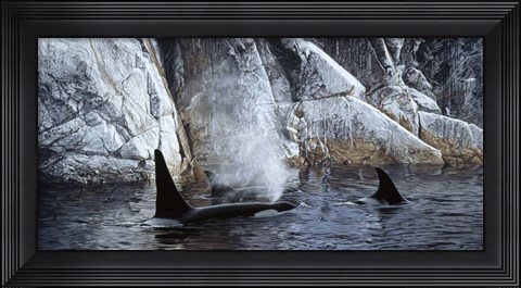 Framed Deep Water- Orcas Print