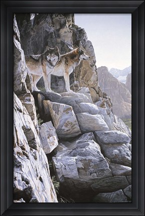 Framed Valley Lookout Print