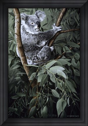 Framed Eucalyptus Climber Print