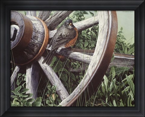 Framed Fat And Sassy - Robin Print