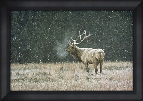Framed Early Snowfall Print