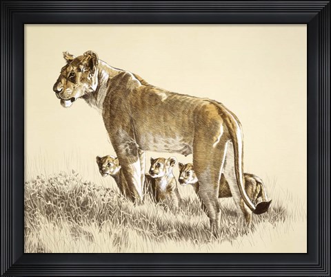 Framed Lioness And Cubs Print