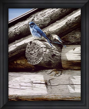 Framed Weathered Wood Print