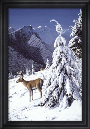 Framed Whitetail Deer Print
