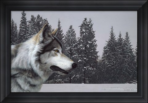 Framed Wolf Portrait Print