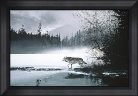 Framed Spring Mist - Gray Wolf Print