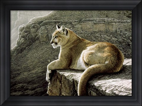Framed Rimrock - Cougar Print