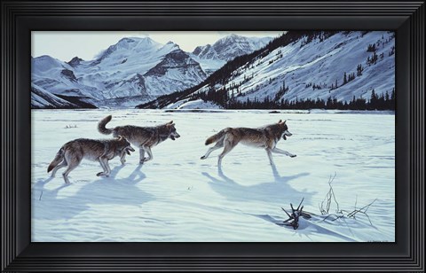 Framed On The Run - Wolf Pack Print