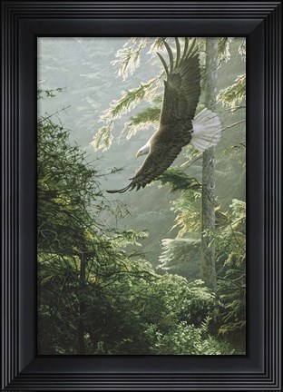 Framed Morning Flight - Eagle Print