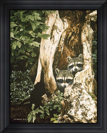 Framed Raccoon Pair Print