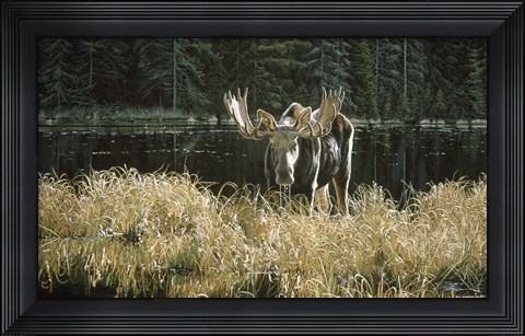 Framed Autumn Foraging - Moose Print