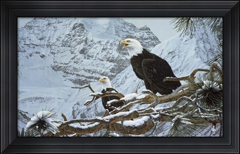 Framed Eagles In The Pine Print