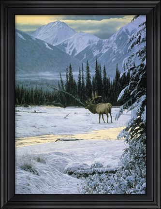 Framed Yellow Dawn - American Elk Print