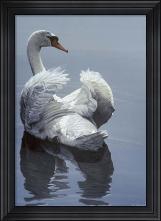 Framed Calm Water Print