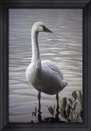 Framed Waters Edge Print