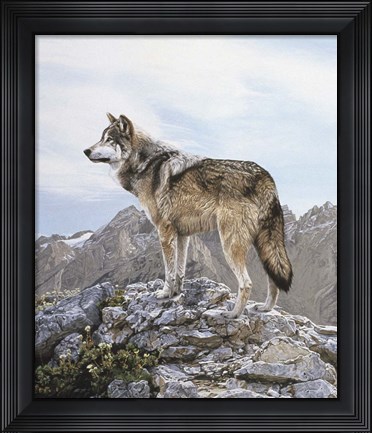 Framed Alpine Lookout Print