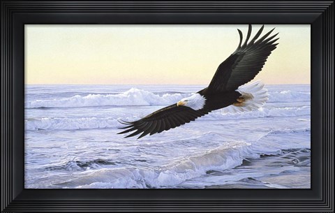 Framed Ocean Dawn- Eagle Print
