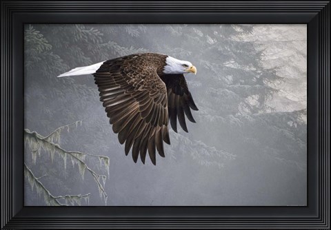 Framed Mystic Forest Print