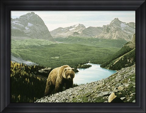 Framed Lake O&#39;Hara Print