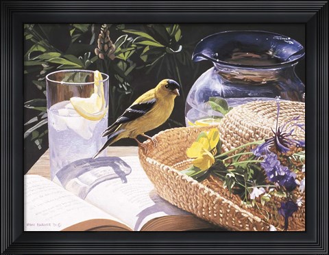 Framed Goldfinch On Straw Hat Print