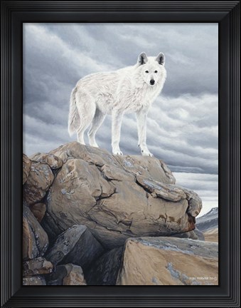 Framed White Wolf Print
