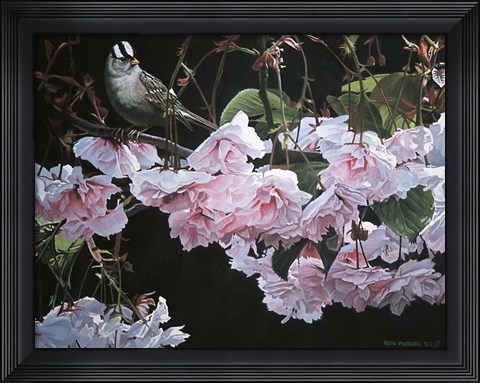Framed Apple Blossoms Print