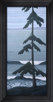 Framed Lone Fir Print