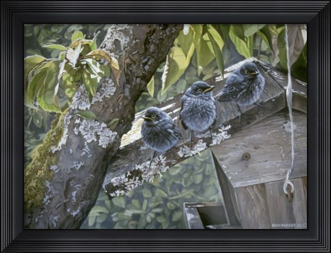 Framed Baby Blues Print