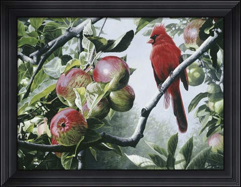 Framed Cardinal And Apples Print