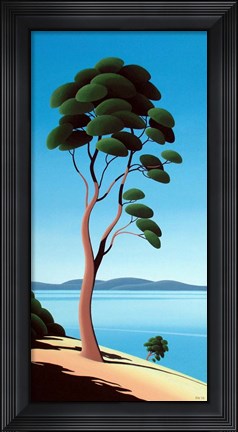 Framed Island Arbutus Print