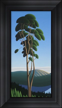 Framed Above Finlayson Arm Print