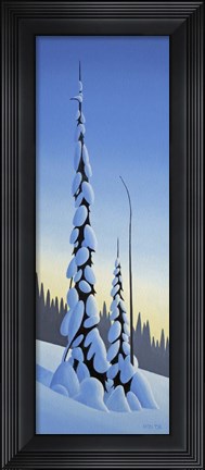 Framed Winter Spruce Print