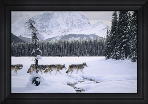 Framed Emerald Lake Print