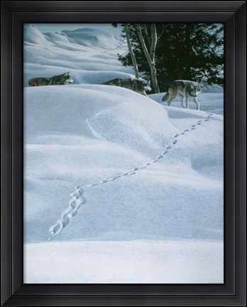 Framed Winter Tracking Print