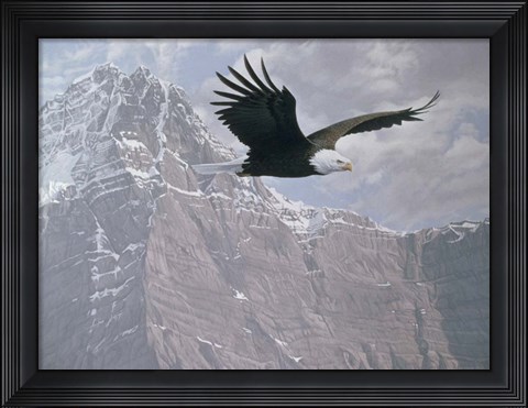 Framed Mountain Flight Print