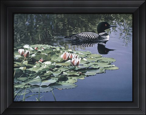 Framed Loon And Lilies Print