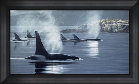 Framed Morning Mist Print