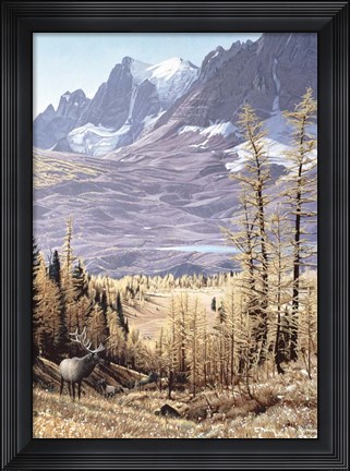 Framed Rockwall Print