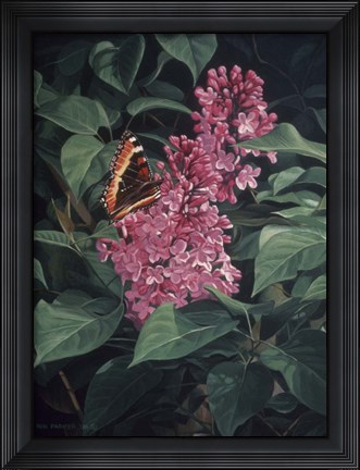 Framed Lilac Print