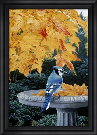 Framed Autumn Birdbath Print